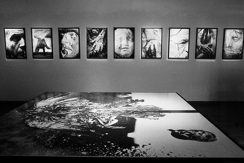 Exposition « Quantités discrètes »